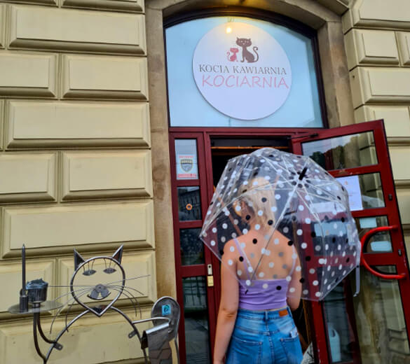 Kawiarnia Kocia Kociarnia